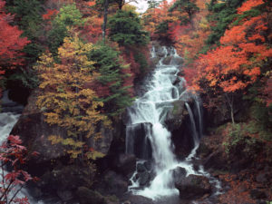 99094138_72Aのコピー